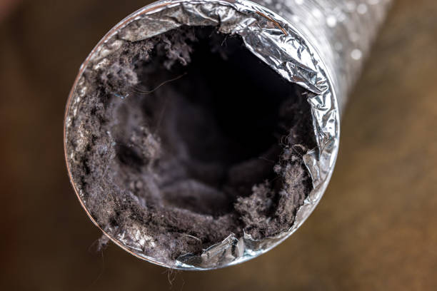 Best Local Air Duct Cleaning Services  in Vaville, CA